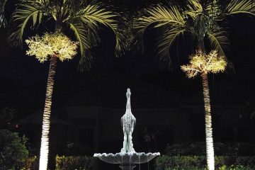 Tropical Landscape Lighting Images