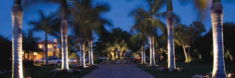 Transforming your nighttime 
experience with landscape lighting